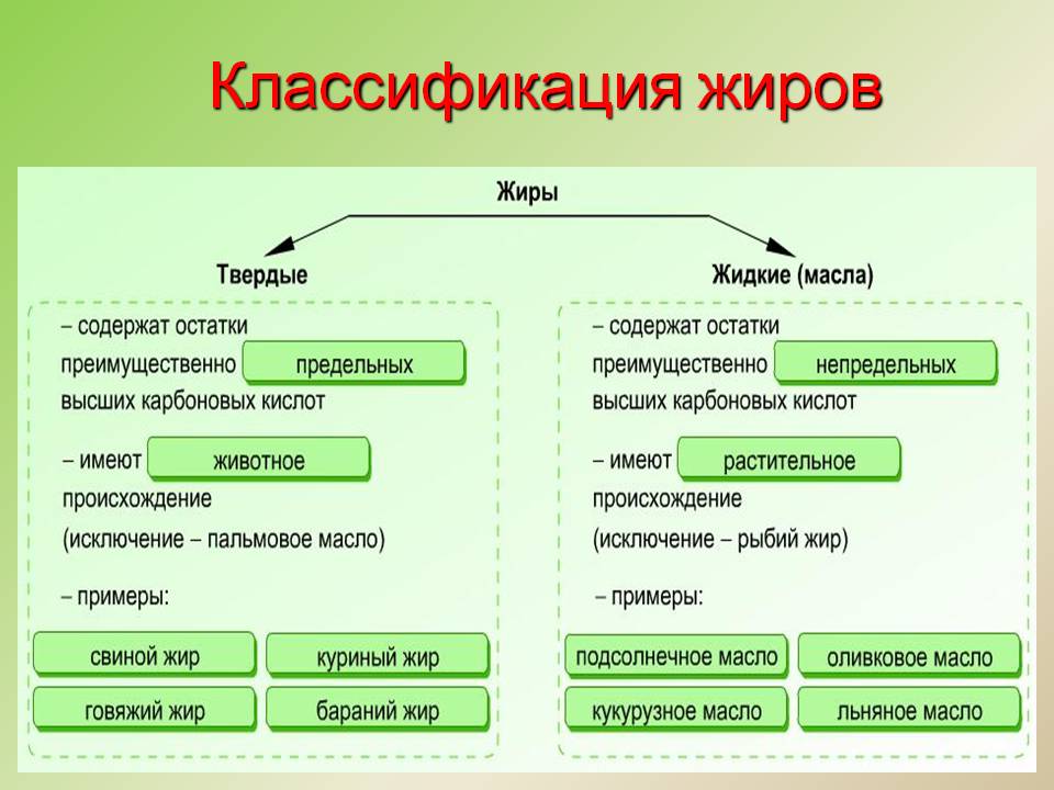 Классификация жиров
