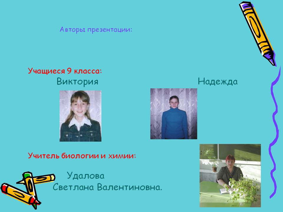 Авторы презентации: