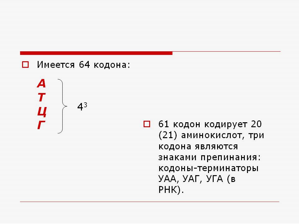 Три кодона являются знаками препинания