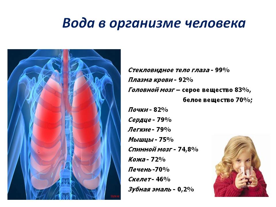 Вода в организме человека