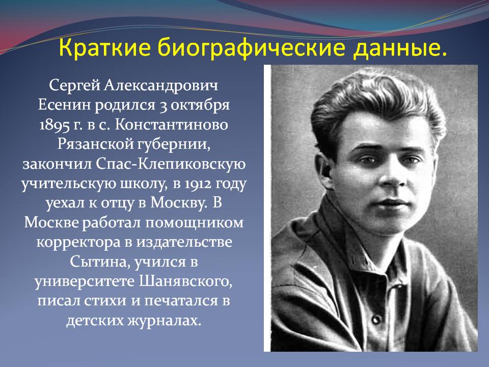 Краткие биографические данные