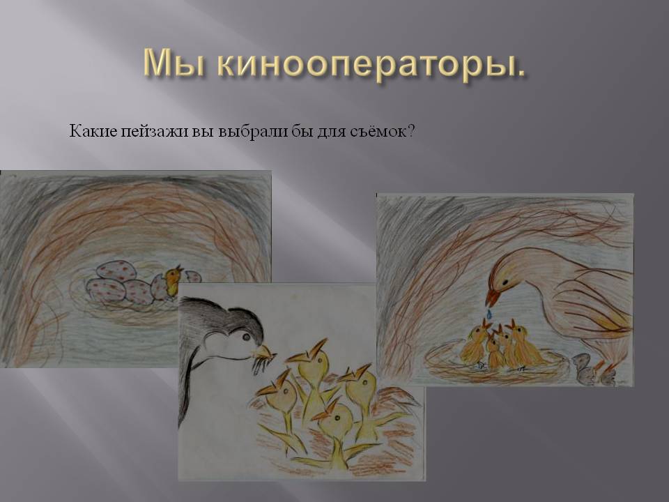 Мы кинооператоры