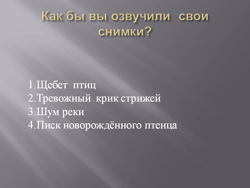 Как бы вы озвучили свои снимки