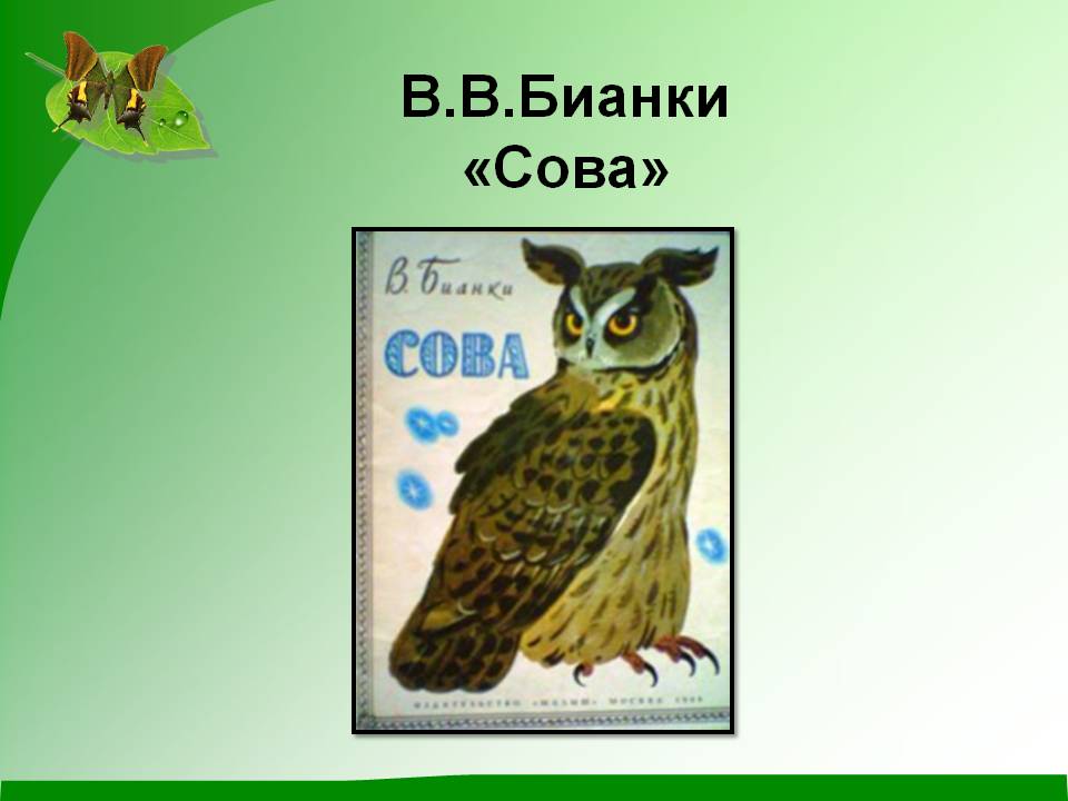 В.В.Бианки «Сова»