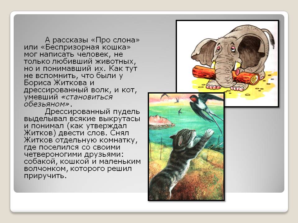 А рассказы «Про слона» или «Беспризорная кошка» мог написать человек,