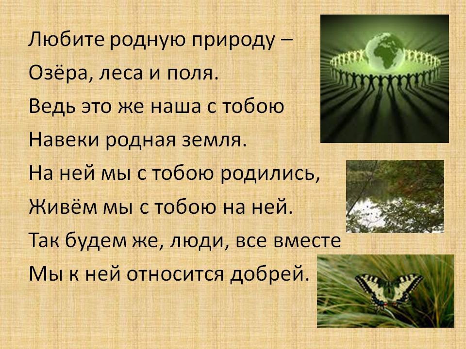 Любите родную природу – озёра, леса и поля