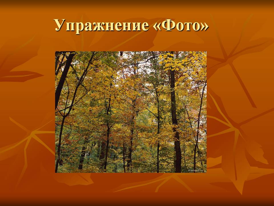 Упражнение «Фото»