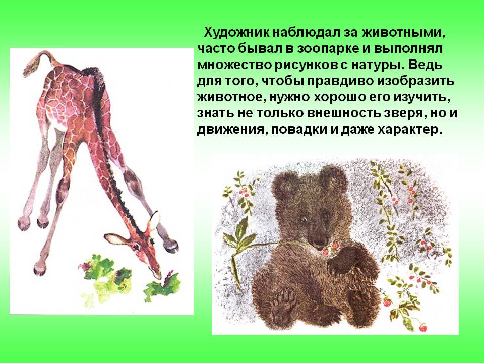 Множество рисунков