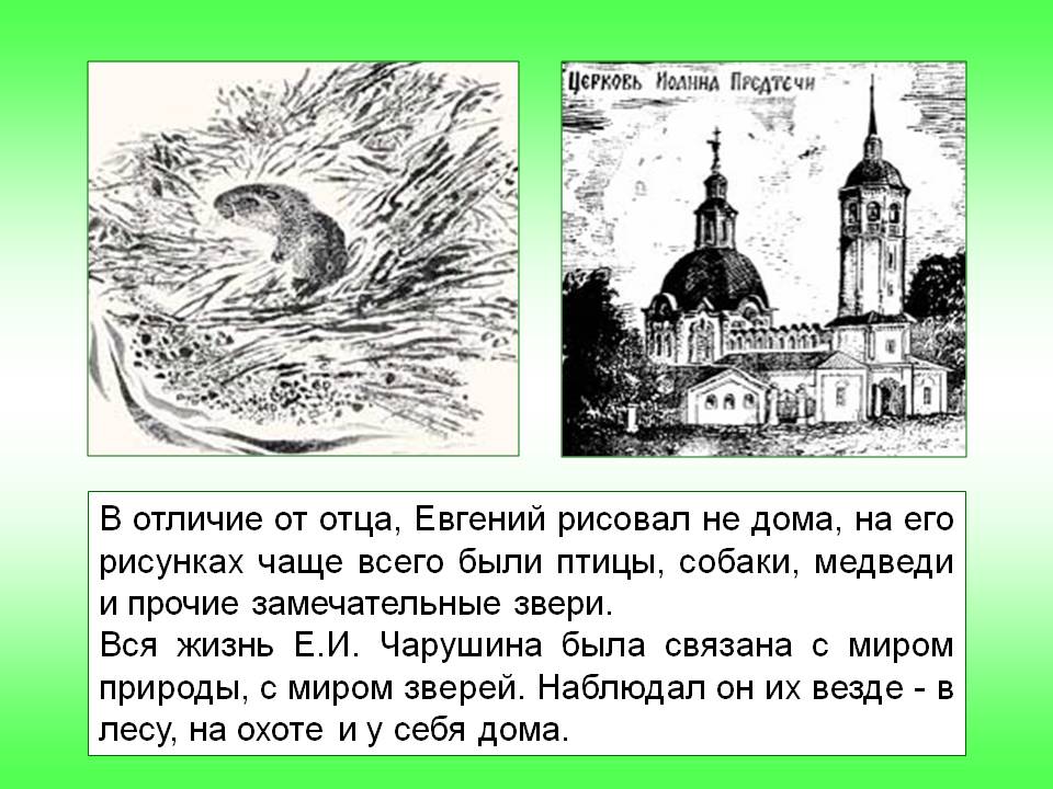 Птицы