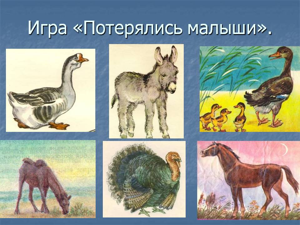 Игра «Потерялись малыши»