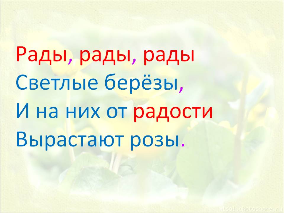 Рады светлые берёзы