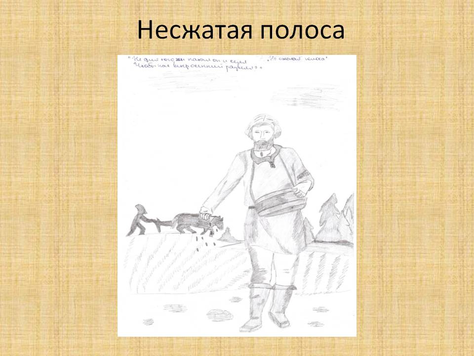 Несжатая полоса