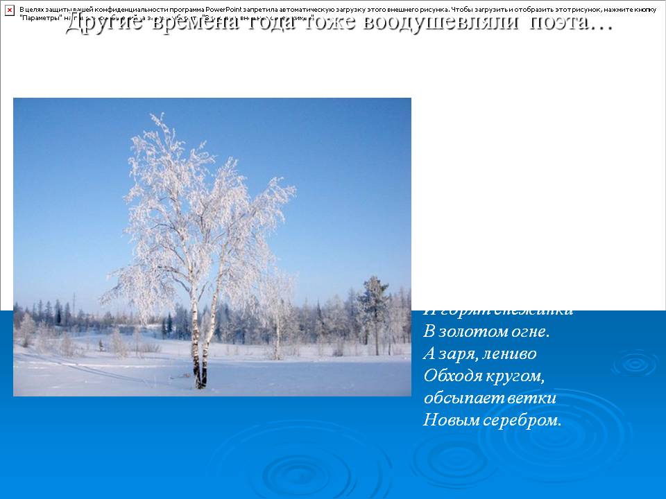 Другие времена года тоже воодушевляли поэта…