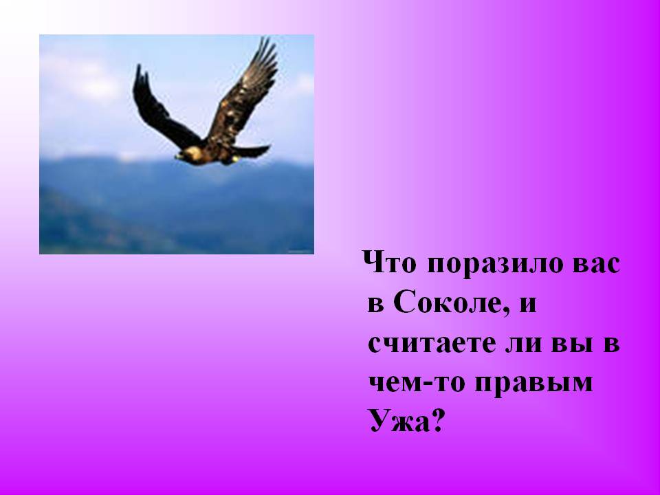 Что поразило вас в Соколе, и считаете ли вы в чем-то правым Ужа