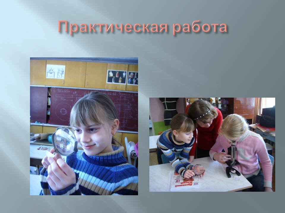Практическая работа