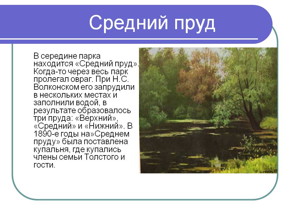 Средний пруд