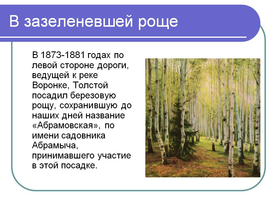 В зазеленевшей роще