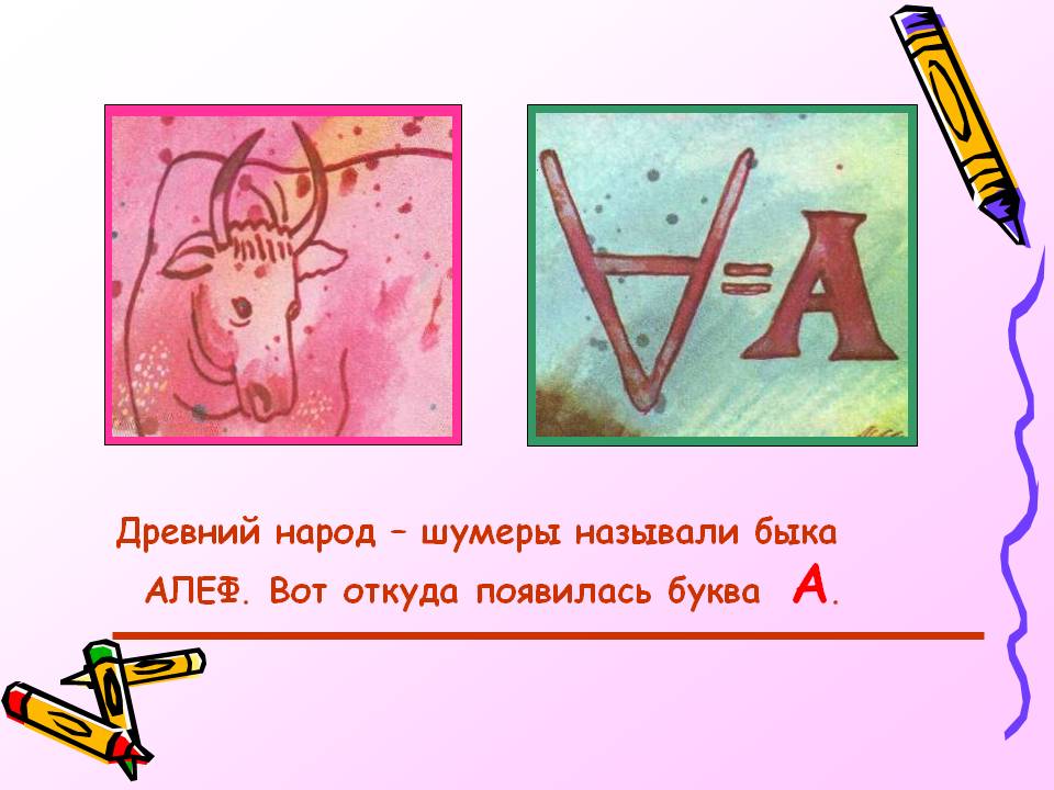 Древний народ – шумеры называли быка АЛЕФ