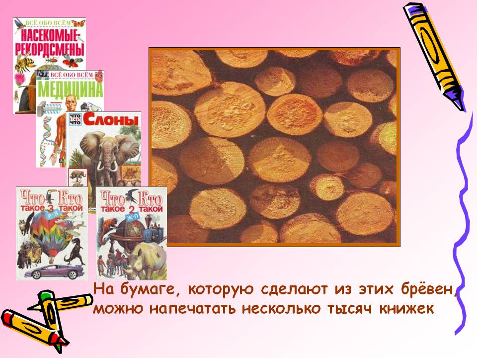 На бумаге, которую сделают из этих брёвен, можно напечатать несколько