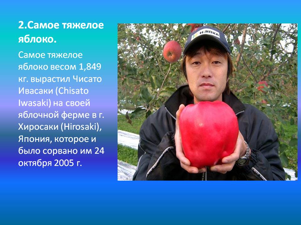2.Самое тяжелое яблоко