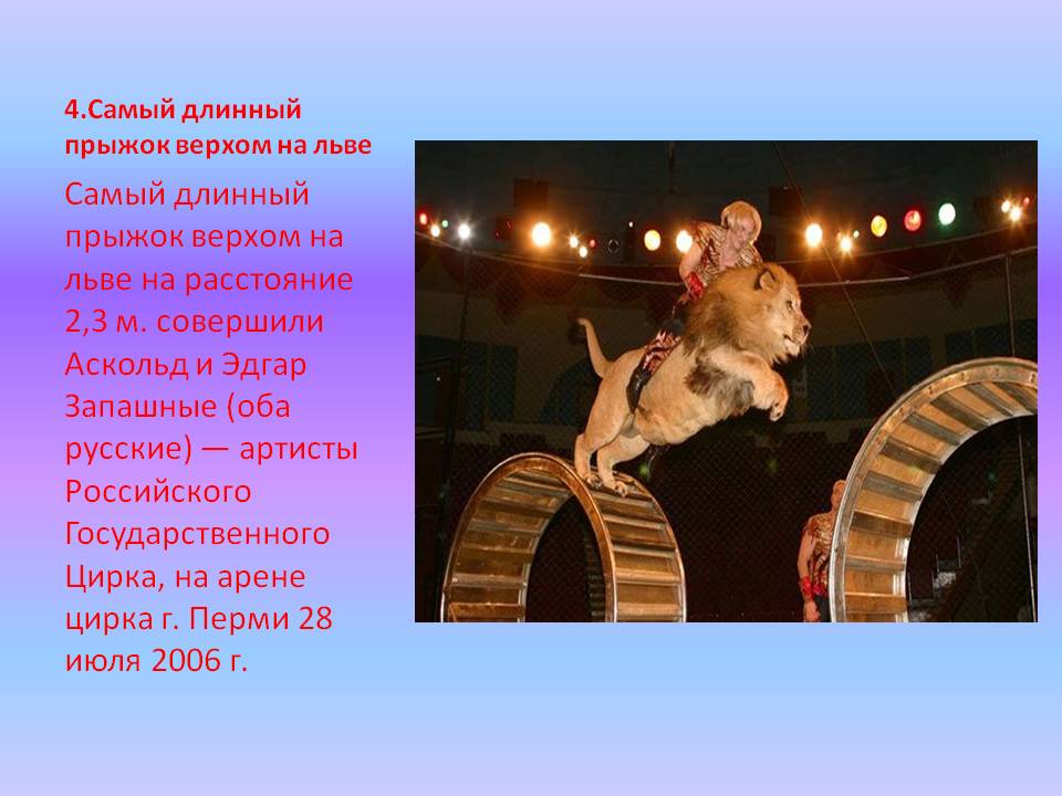 Самый длинный прыжок верхом на льве на расстояние 2,3 м. совершили