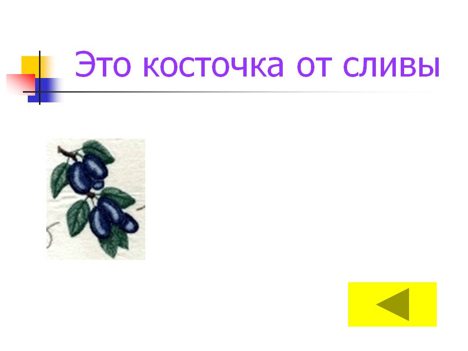 Это косточка от сливы