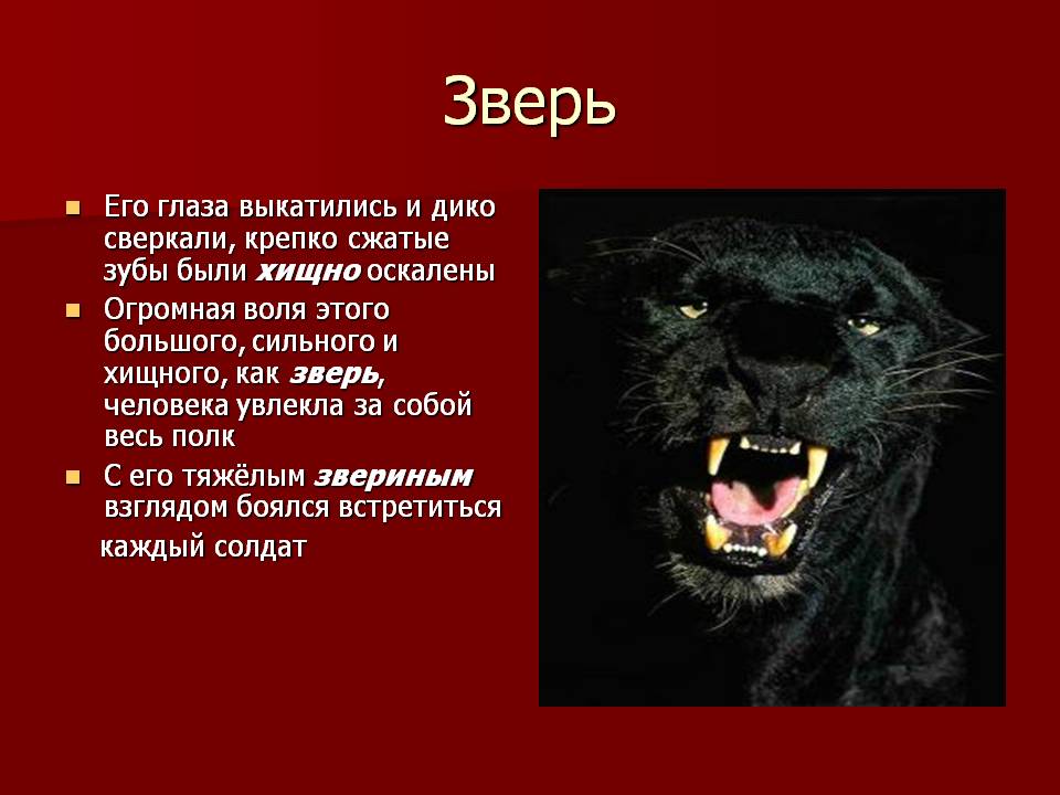 Зверь