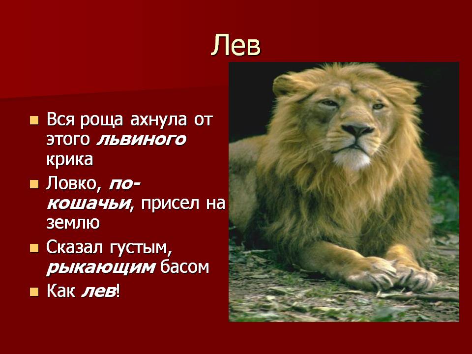Лев