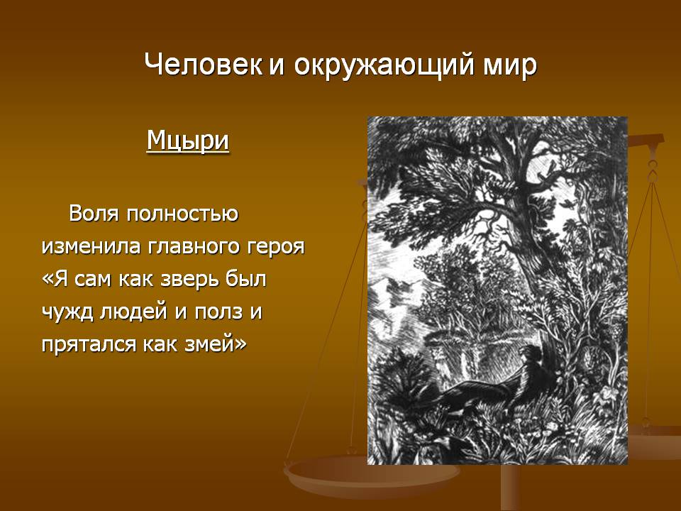 Человек и окружающий мир