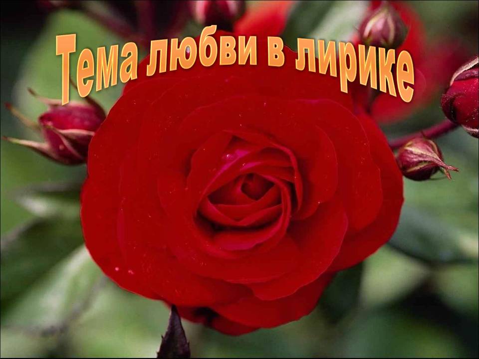 Любовная лирика Есенина