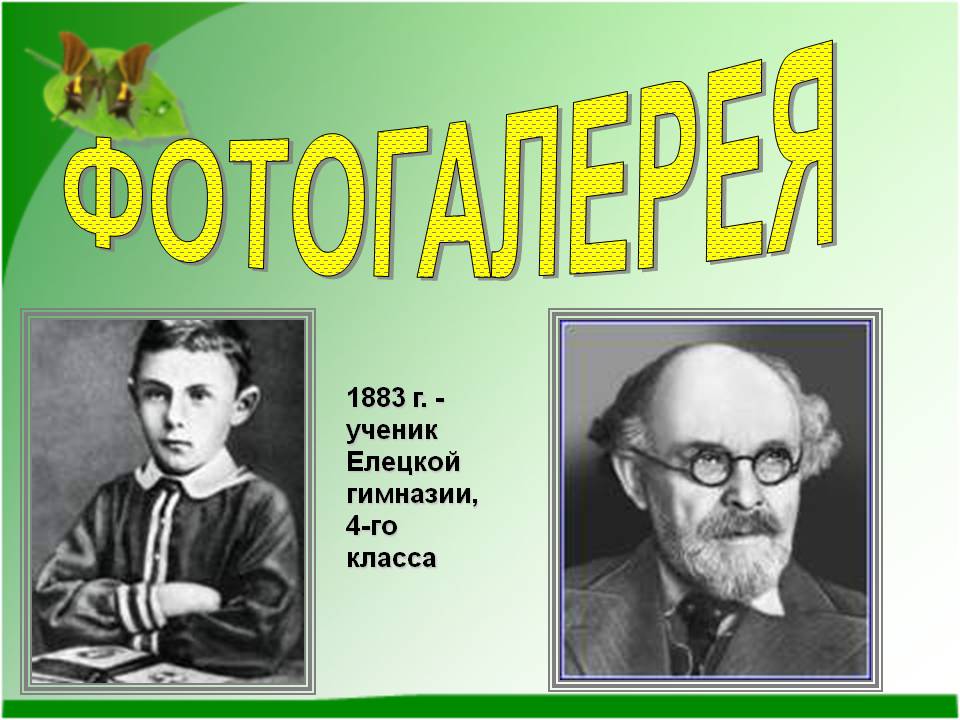 Фотогалерея