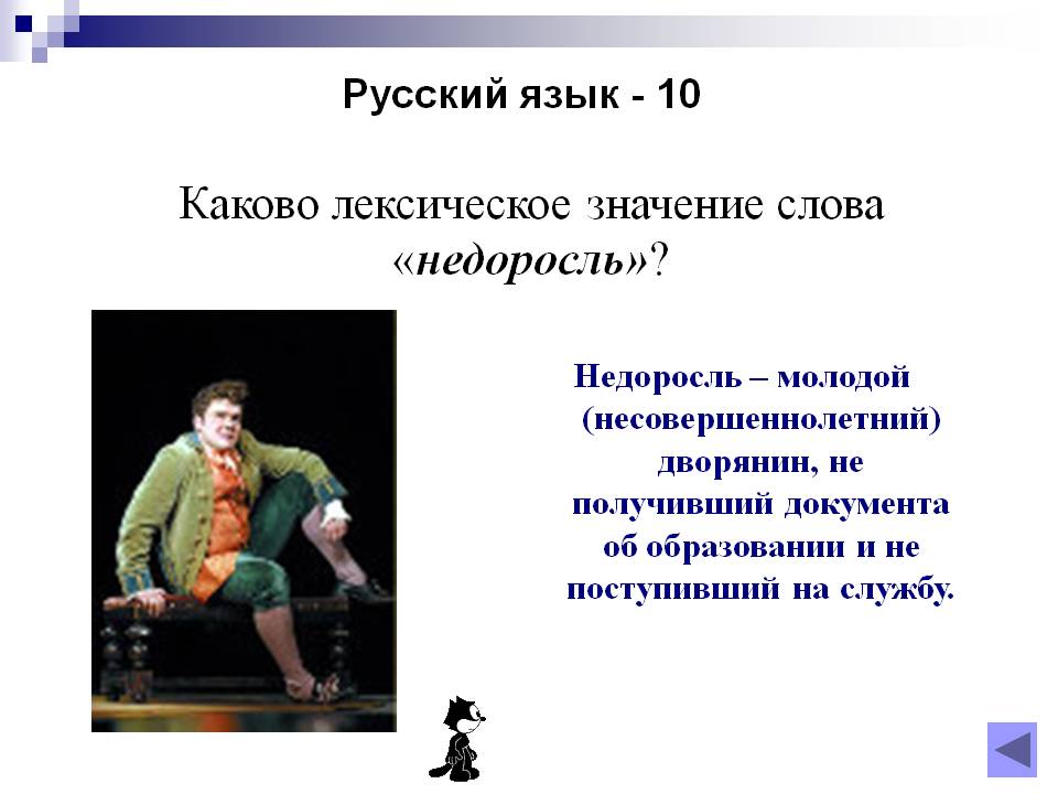 Каково лексическое значение слова «недоросль»
