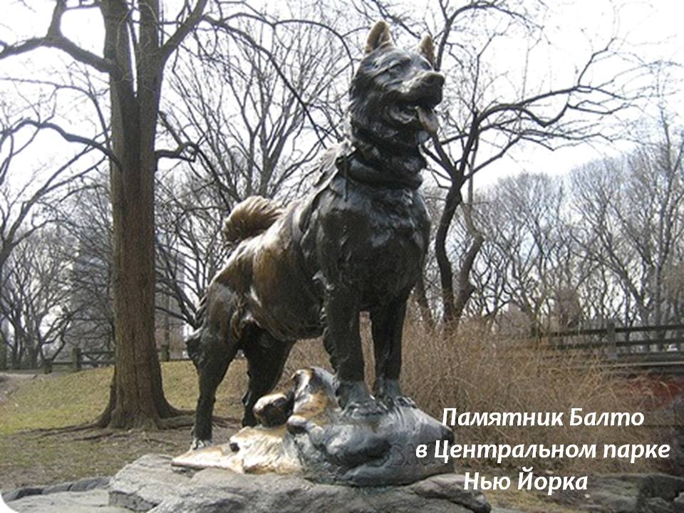Памятник Балто в Центральном парке Нью Йорка