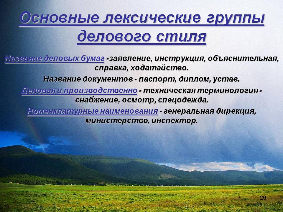 Основные лексические группы делового стиля