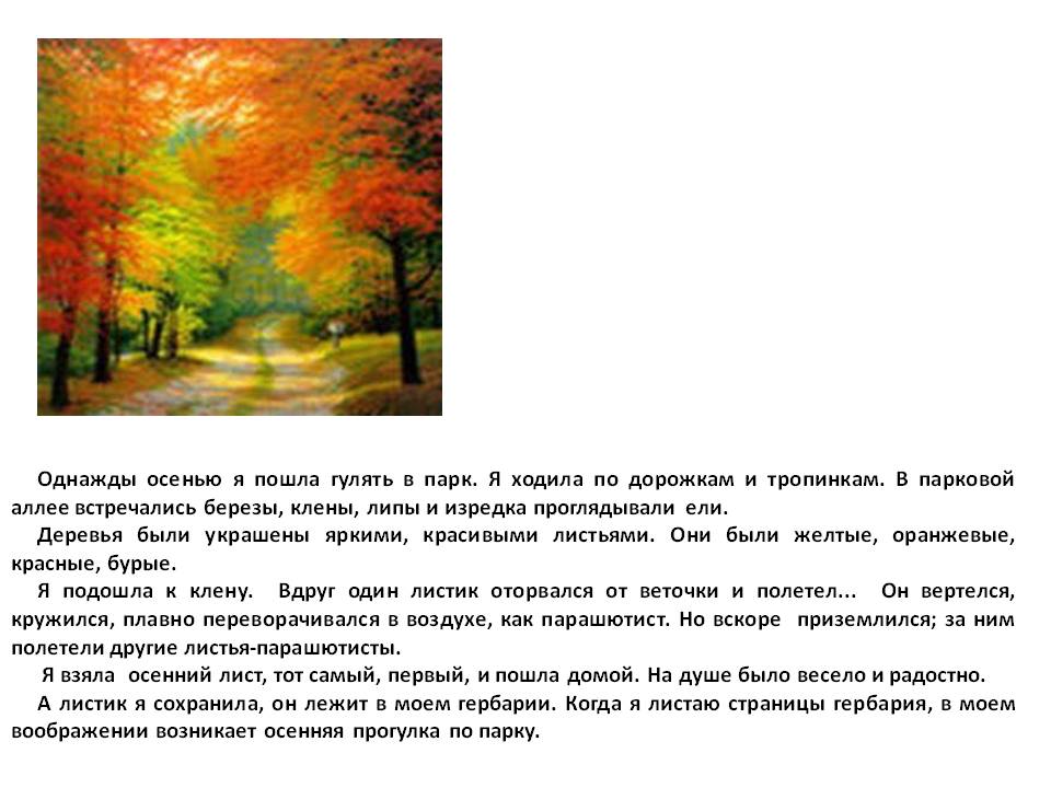 Однажды осенью я пошла гулять в парк