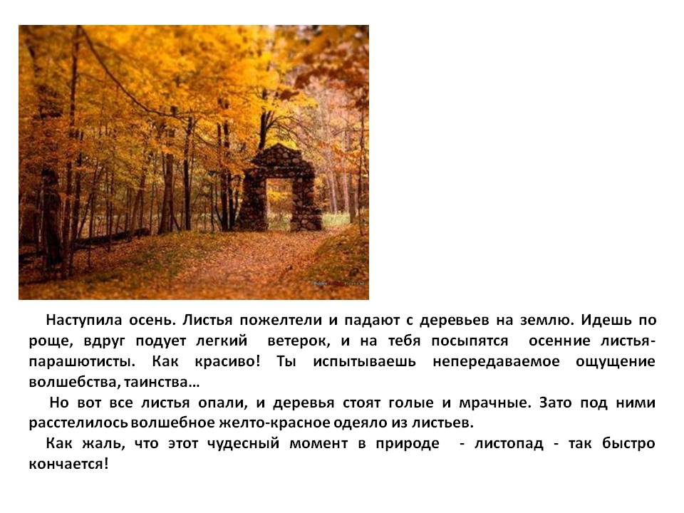 Наступила осень