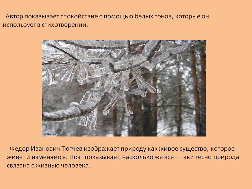 Спокойствие