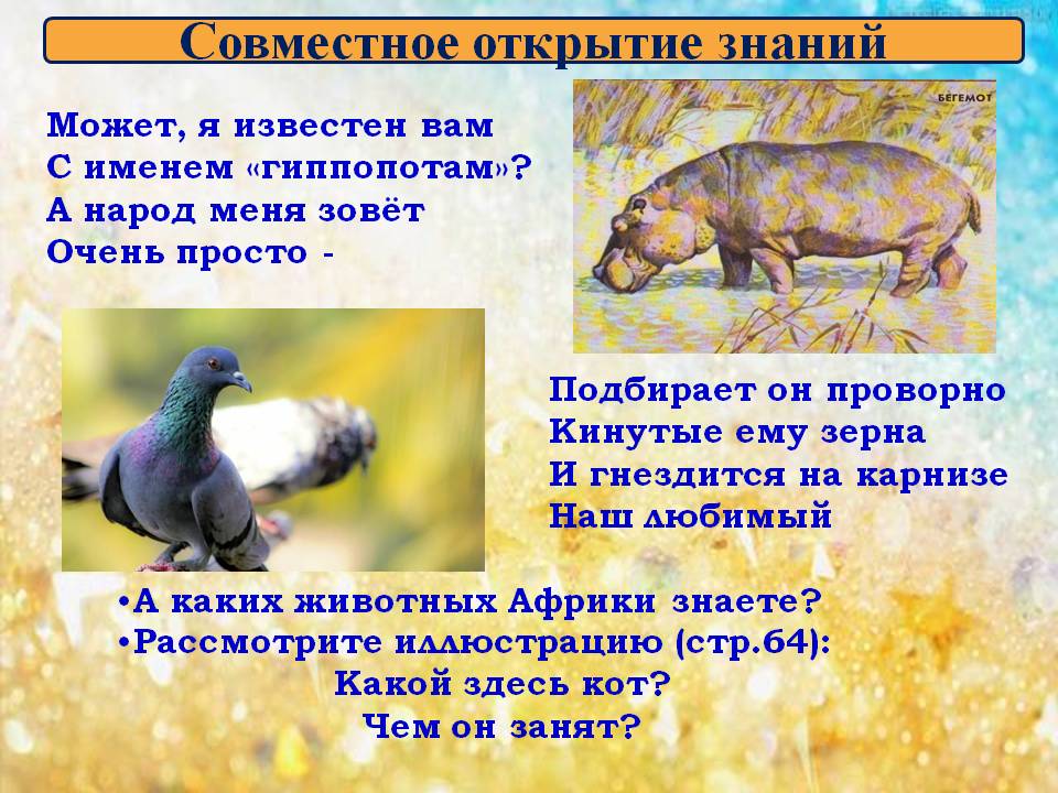 Может, я известен вам С именем «гиппопотам»