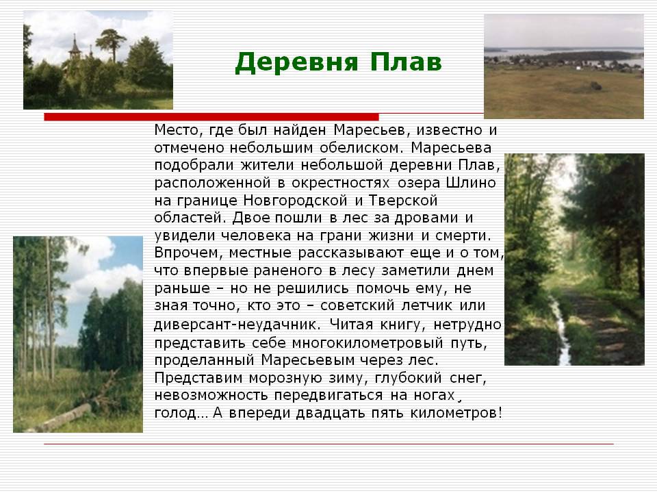 Деревня Плав