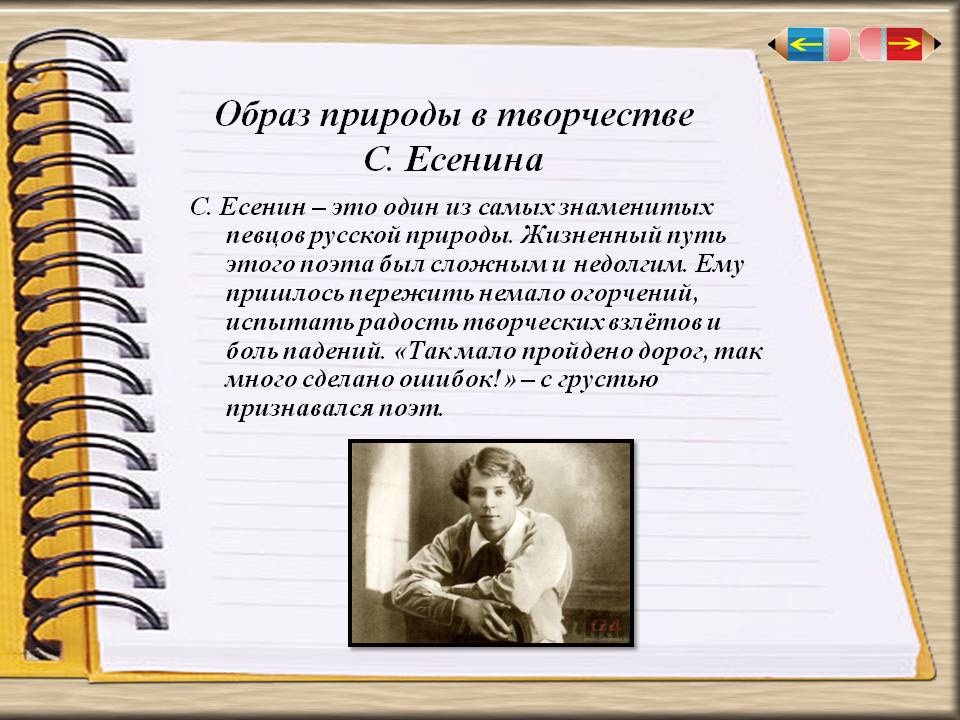 Образ природы в творчестве С. Есенина