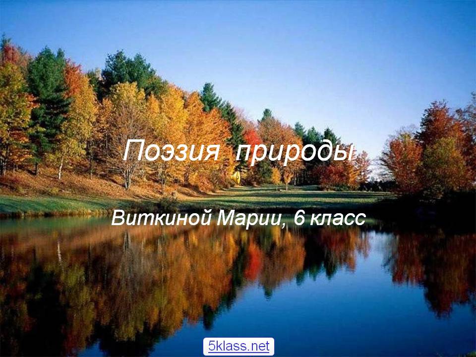 Поэзия природы