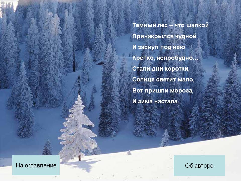 Темный лес – что шапкой принакрылся чудной