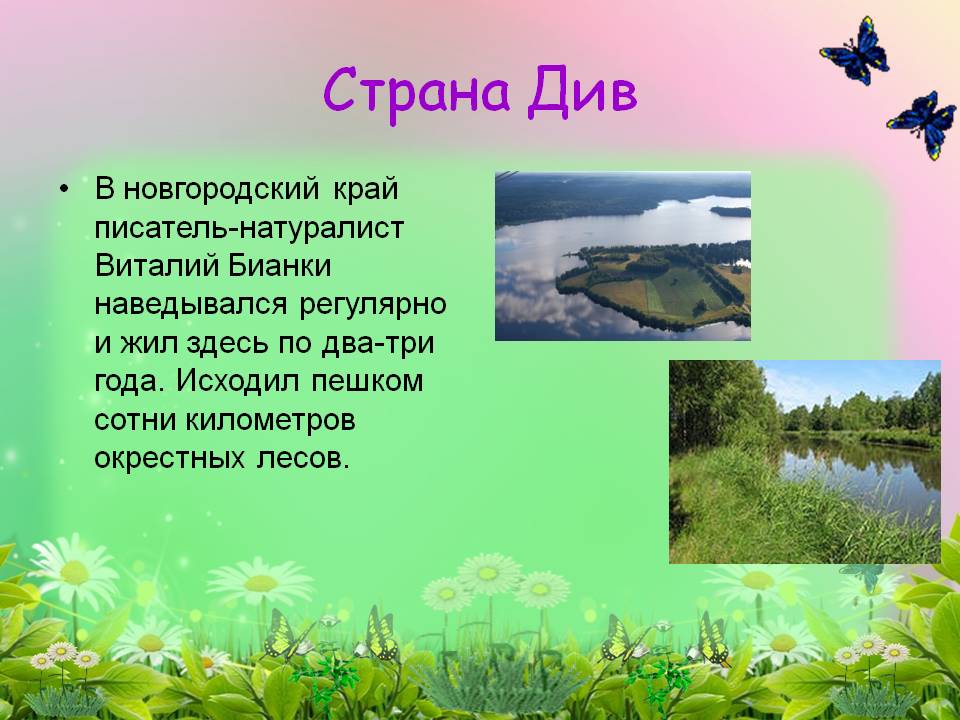Страна Див