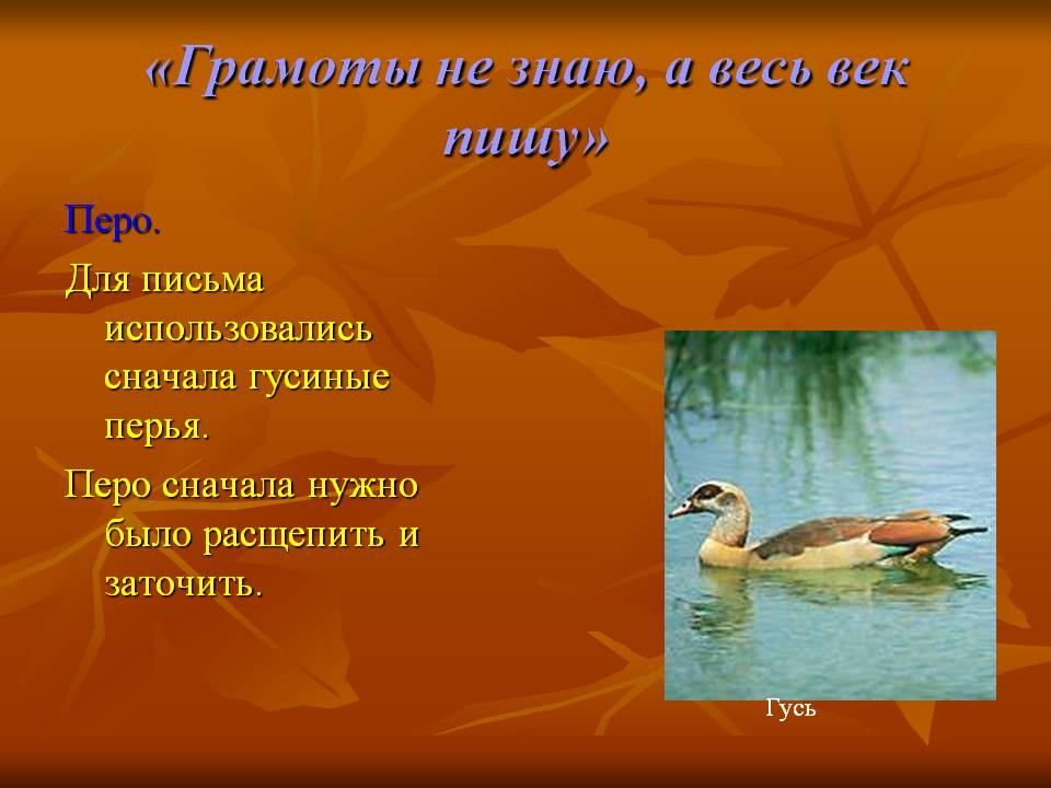 «Грамоты не знаю, а весь век пишу»