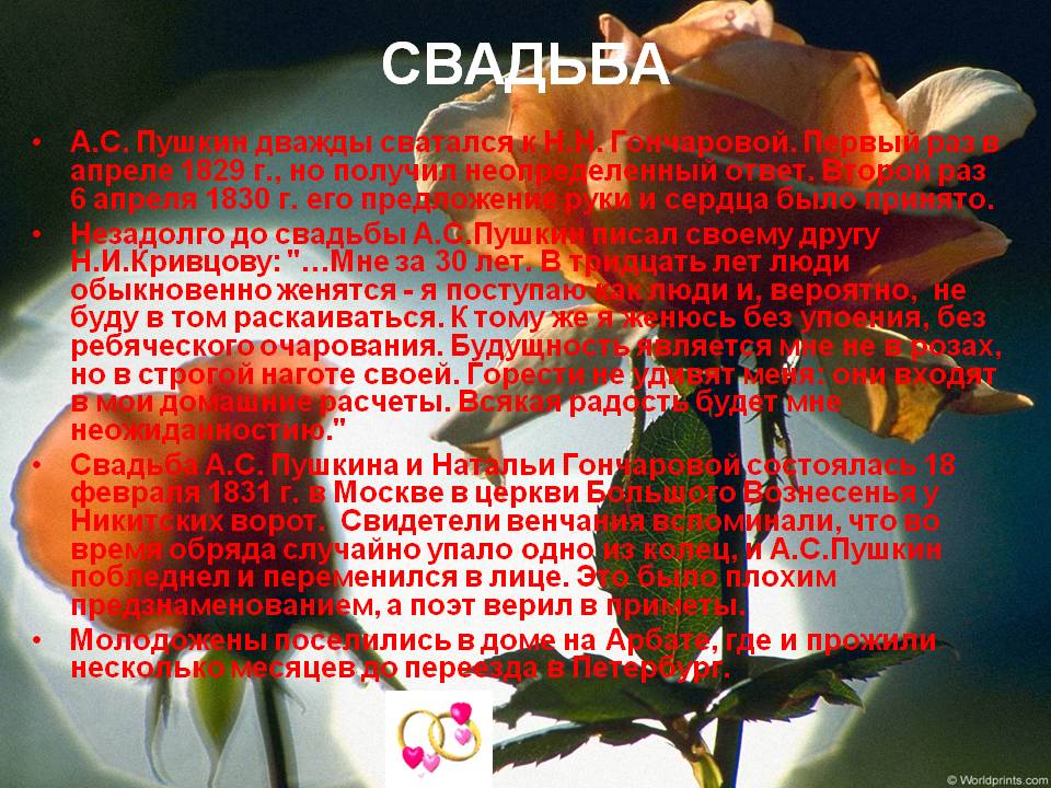 Свадьба