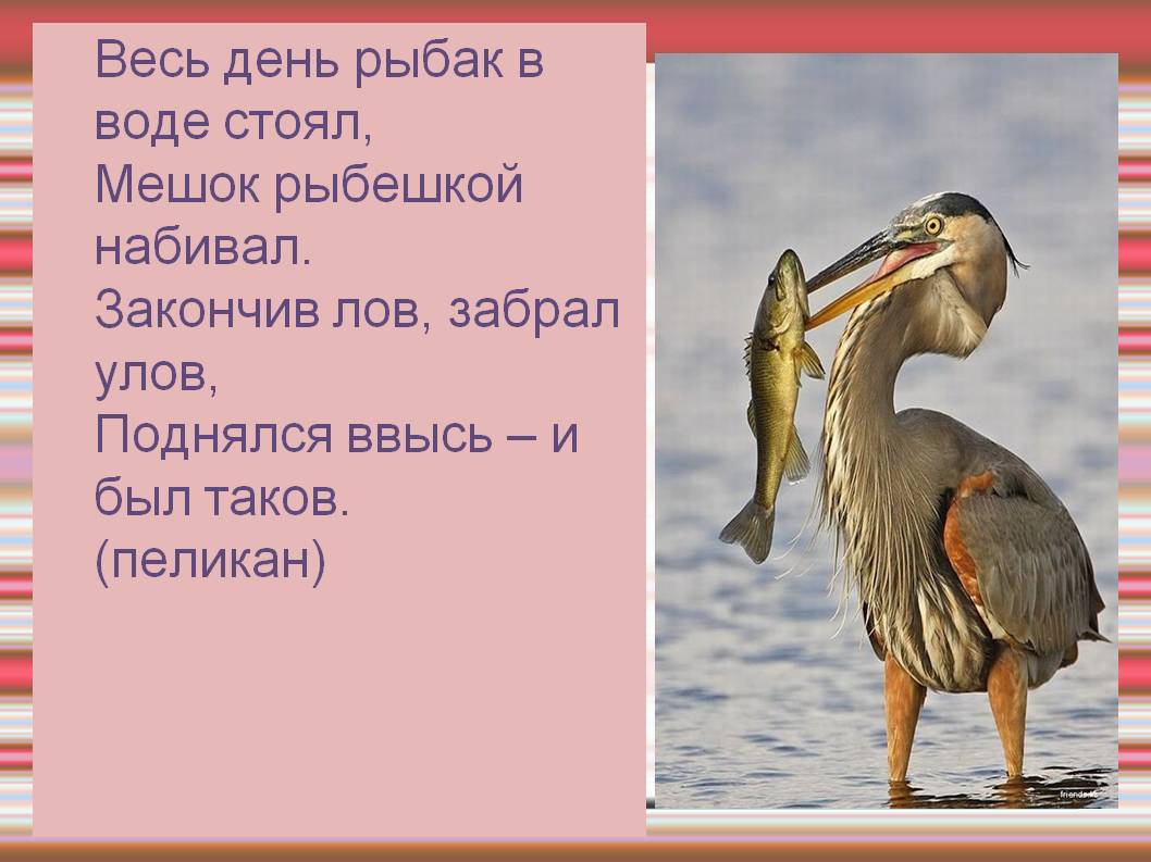Рыбак в воде стоял