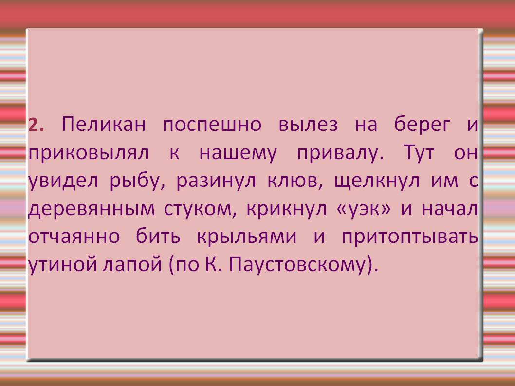 Пеликан