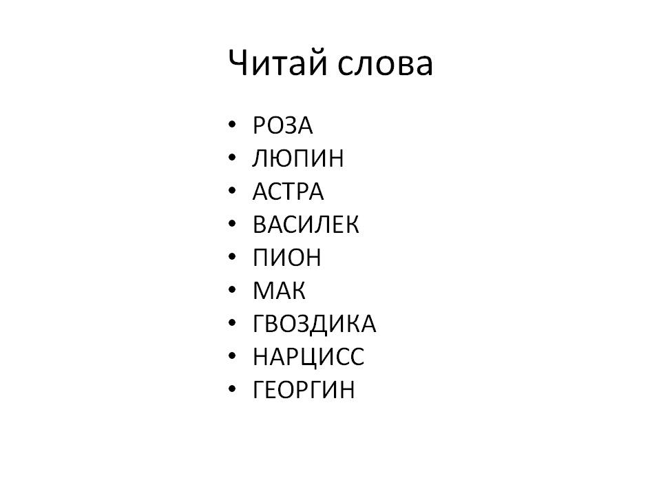 Роза