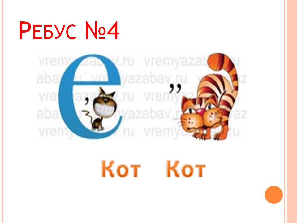Кот