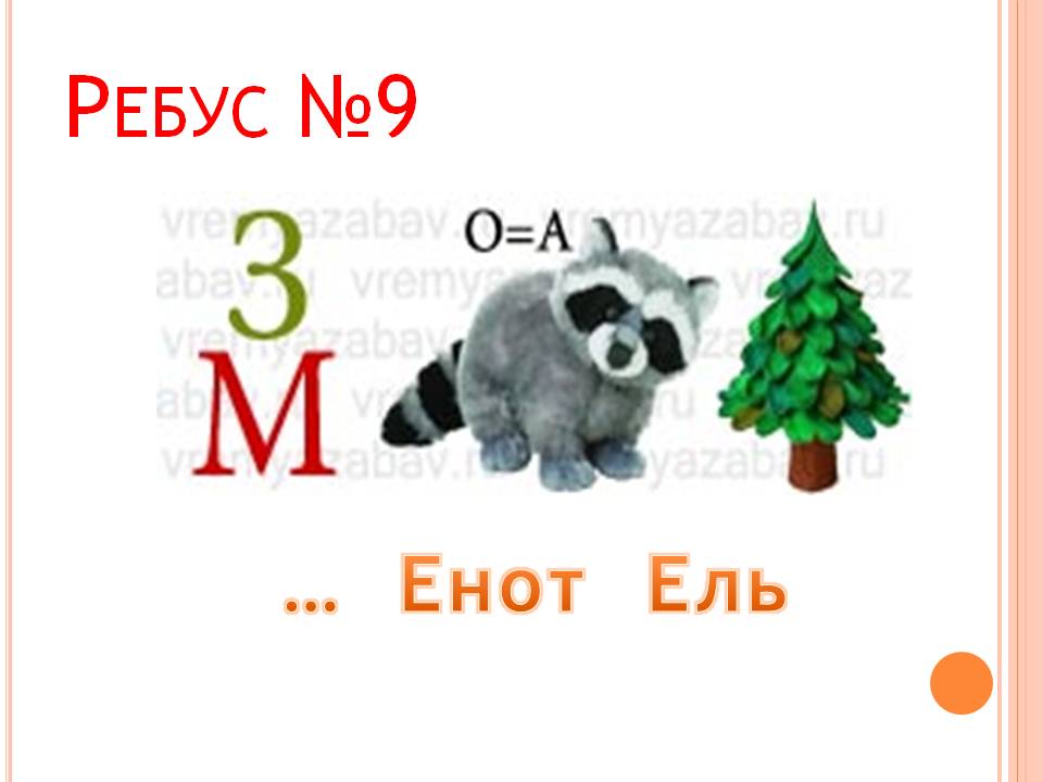  Енот